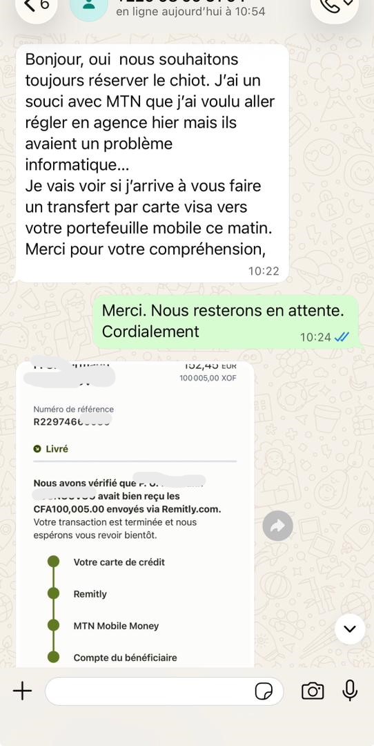 WhatsApp Image 2025-11-12 at 04.33.49