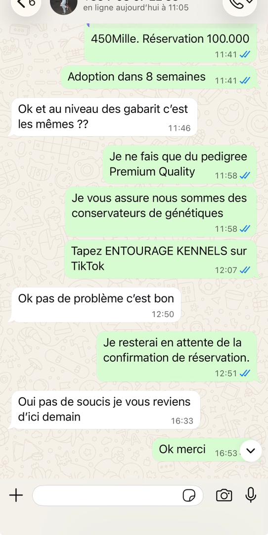 WhatsApp Image 2025-11-12 at 04.33.50