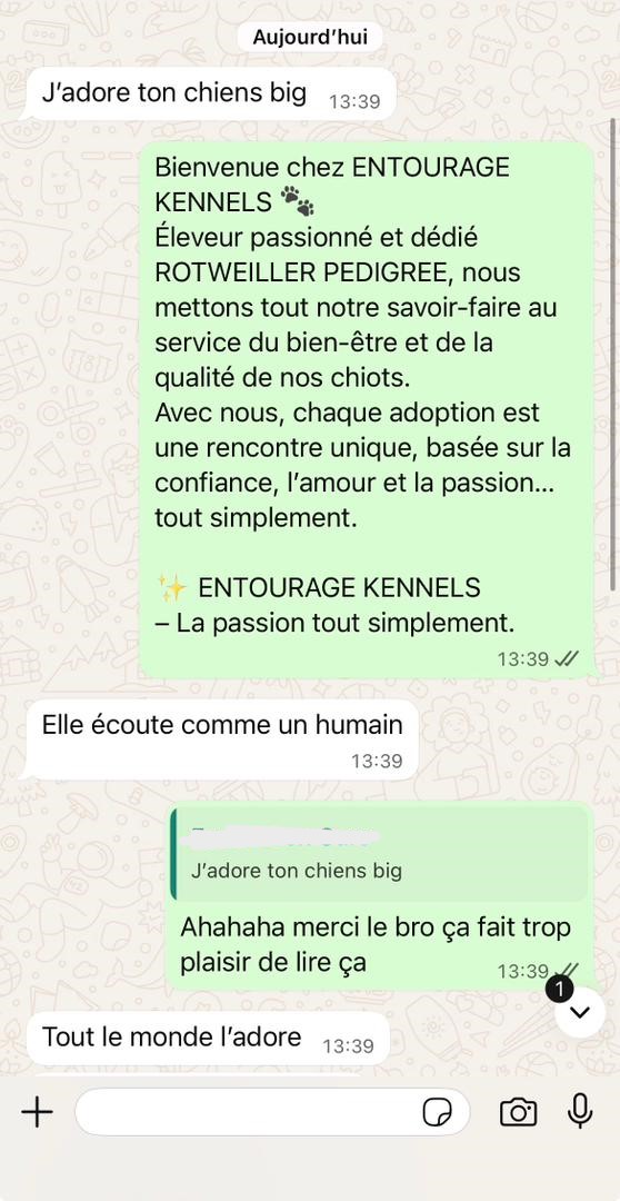 WhatsApp Image 2025-11-12 at 04.34.49