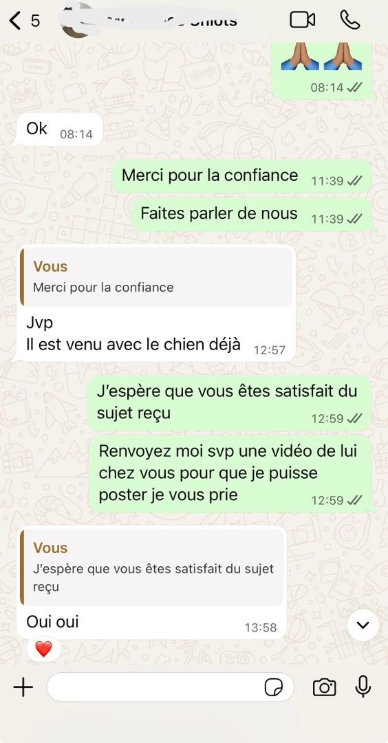 WhatsApp Image 2025-11-12 at 04.34.50