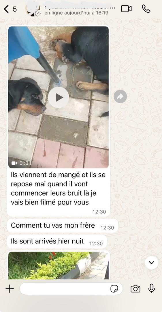 WhatsApp Image 2025-11-12 at 04.34.50j